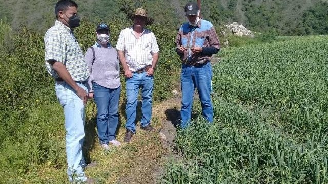 http://www.fronteradigital.com.ve/Comunidades agrícolas del páramo 
recibieron asesoría técnica por parte de Imderural