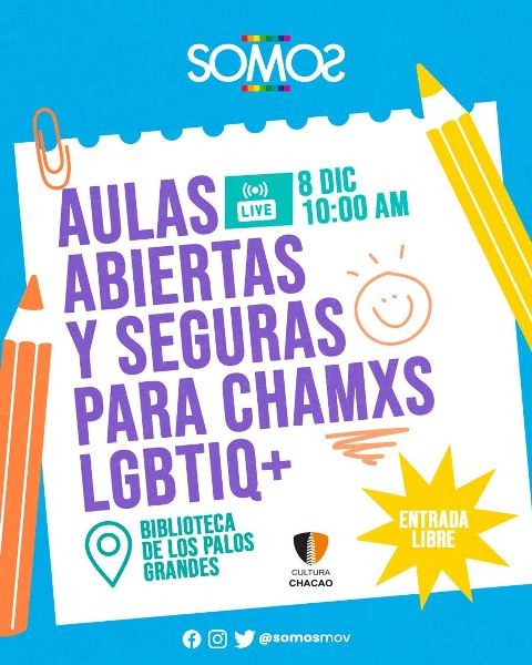 Diario Frontera, Frontera Digital,  SOMOS, Nacionales, ,SOMOS apuesta por la consolidación 
de escuelas seguras para jóvenes LGBTIQ+ en Venezuela