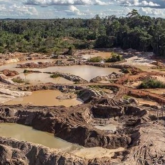 Diario Frontera, Frontera Digital,  daño ambiental, sos, guayana, Nacionales, ,Financial Times alertó sobre la crisis medioambiental 
que enfrenta el Parque Nacional Canaima