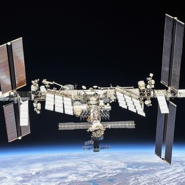 Diario Frontera, Frontera Digital,  ESPACIO, MISION, REABASTECIMIENTO, Curiosidades, Tecnología, ,Enviarán semillas de tomate enano a la Estación Espacial Internacional a bordo del próximo vuelo de reabastecimiento de SpaceX