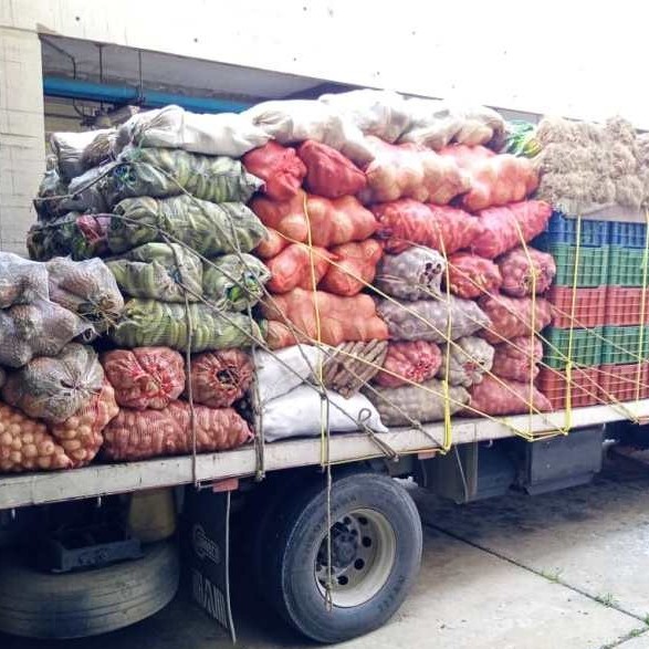 Diario Frontera, Frontera Digital,  HORTALIZAS, IAHULA, Salud, ,Productores merideños despacharon 
más de 8400 kg de hortalizas al Iahula