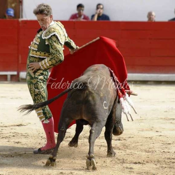 Diario Frontera, Frontera Digital,  FERIA DE SAN FERMÍN 2023, Entretenimiento, ,Dos toros notables de La Palmosilla en la apertura de la Feria del Toro