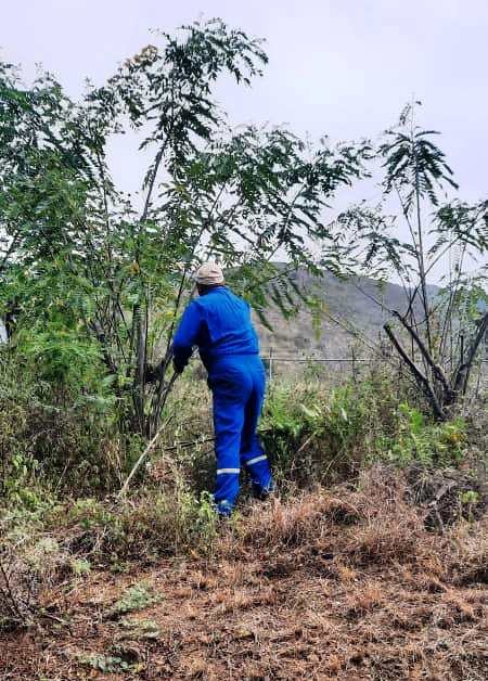 Diario Frontera, Frontera Digital,  PLANTAS DE POTABILIZACIÓN, MUNICIPIO SAUCRE, MÉRIDA, AGUAS DE MÉRIDA, OSWALDO FERRER, MUNICIPIO SUCRE, Regionales, ,Mantenimiento de áreas verdes recibieron 
plantas potabilizadoras Homero Izarra y Villa Libertad