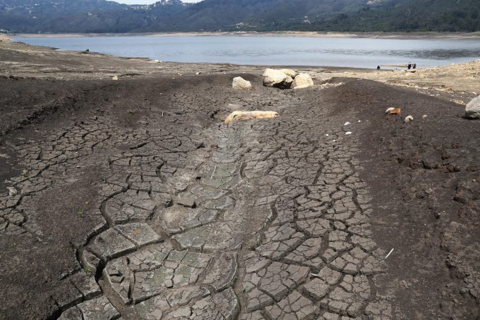 Diario Frontera, Frontera Digital,  Internacionales, ,Colombia deja de exportar energía a Ecuador por la sequía
