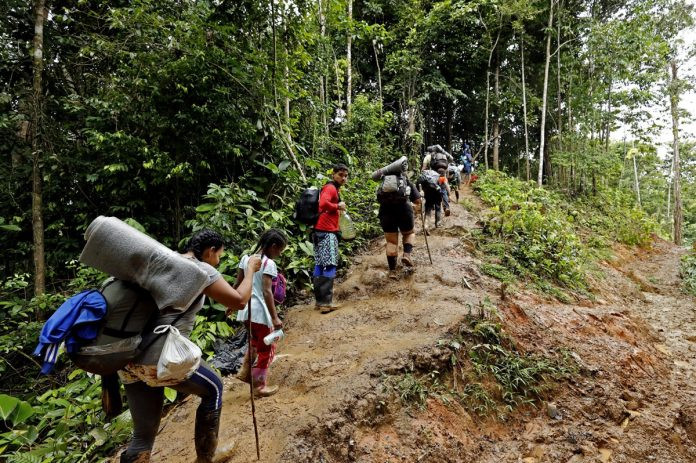 Diario Frontera, Frontera Digital,  Internacionales, ,Una familia venezolana desapareció en la selva del Darién