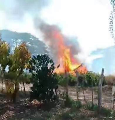 Diario Frontera, Frontera Digital,  El Vigía Panamericana, ,Problemas respiratorios e incendio de rancho 
causan quema de áreas verdes en El Vigía
