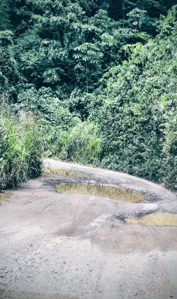 Diario Frontera, Frontera Digital,  Regionales, ,Denuncian abandono de vialidad de Mesa Bolívar y piden rescate de la zona turística