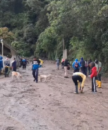 Diario Frontera, Frontera Digital,  Regionales, ,Deslizamientos obstruyeron paso entre La Puerta y Timotes