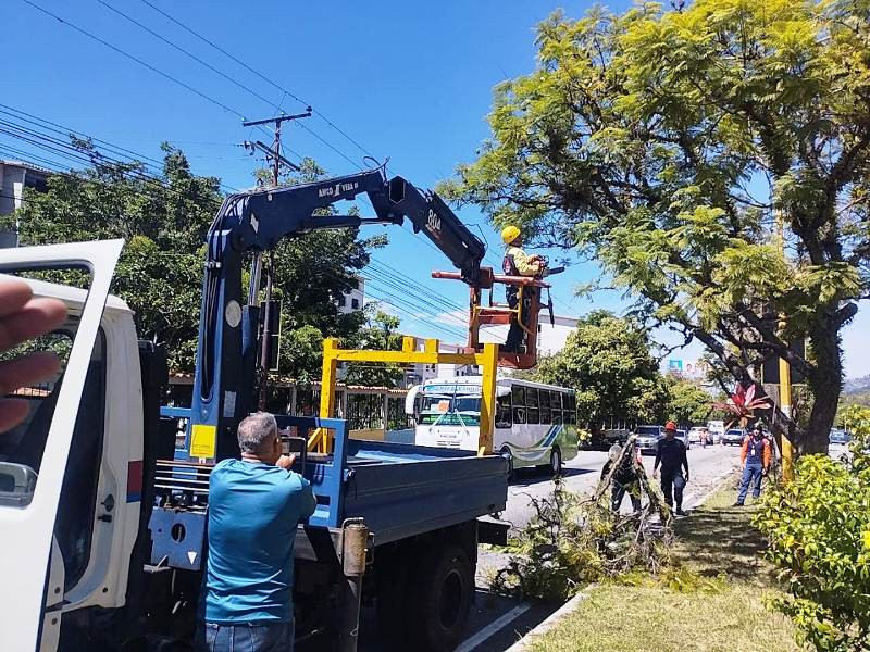Diario Frontera, Frontera Digital,  Regionales, ,Alcalde Nelson Álvarez inicia plan pico y poda en principales avenidas de la ciudad