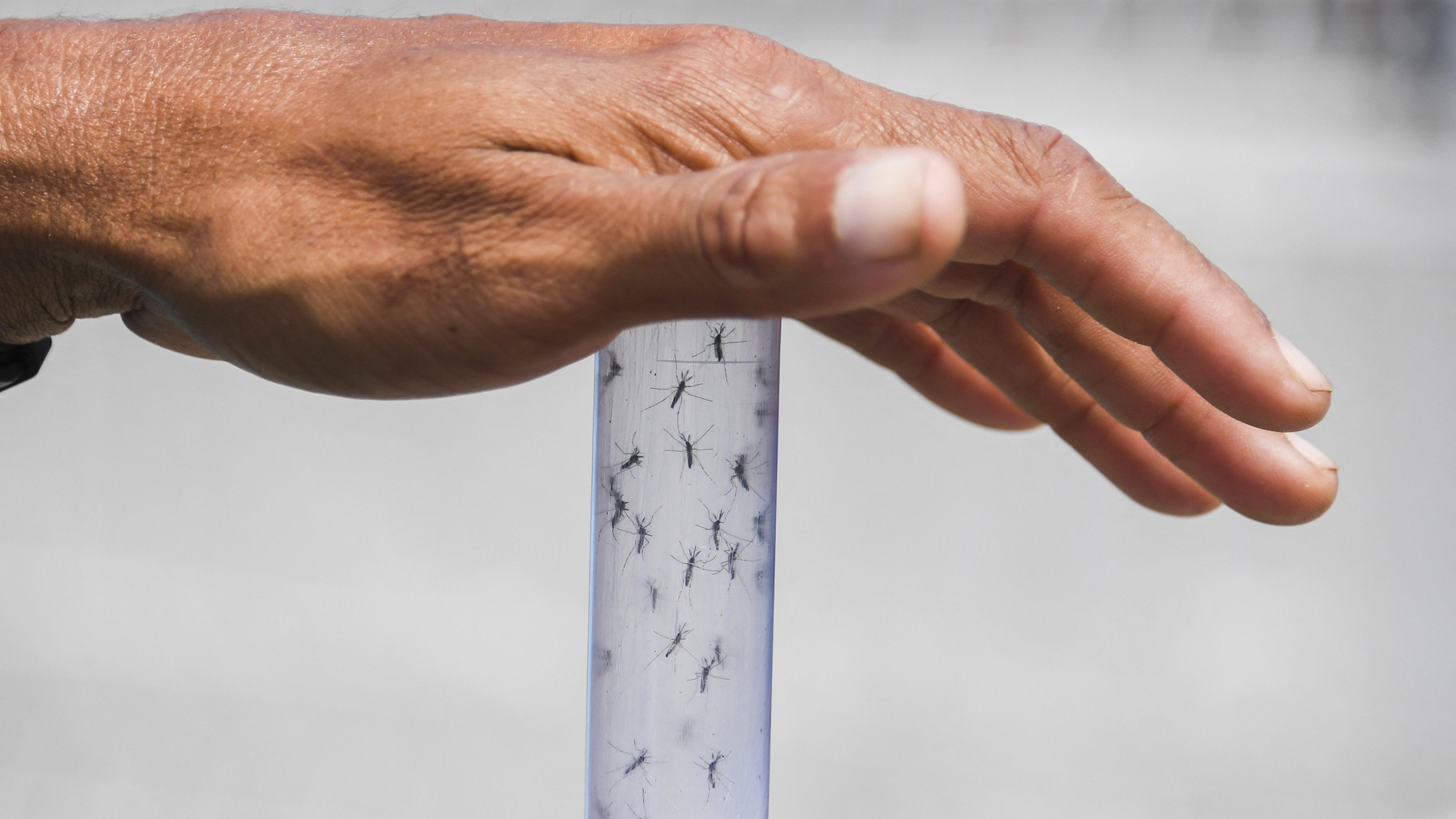 http://www.fronteradigital.com.ve/Ministerio de Salud declara alerta sanitaria nacional por efectos del fenómeno El Niño