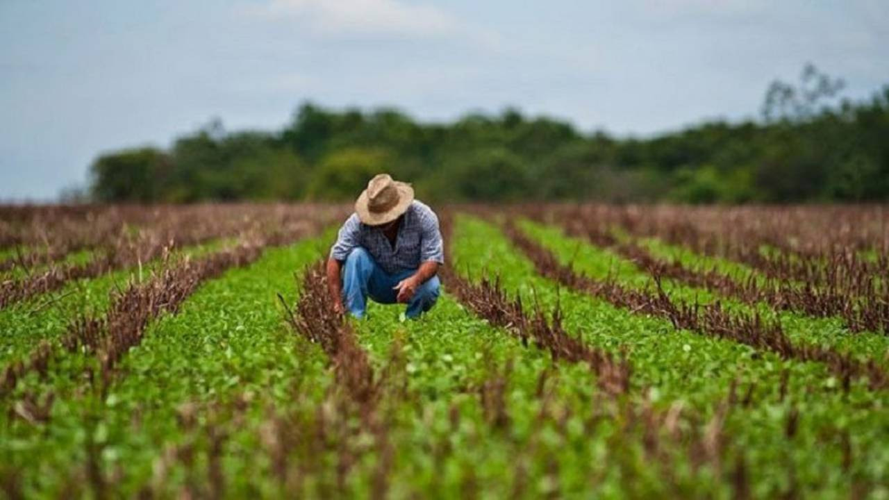 Diario Frontera, Frontera Digital,  Nacionales, ,Sector agrícola pide inversión y tecnología para potenciar el sistema agroalimentario del país