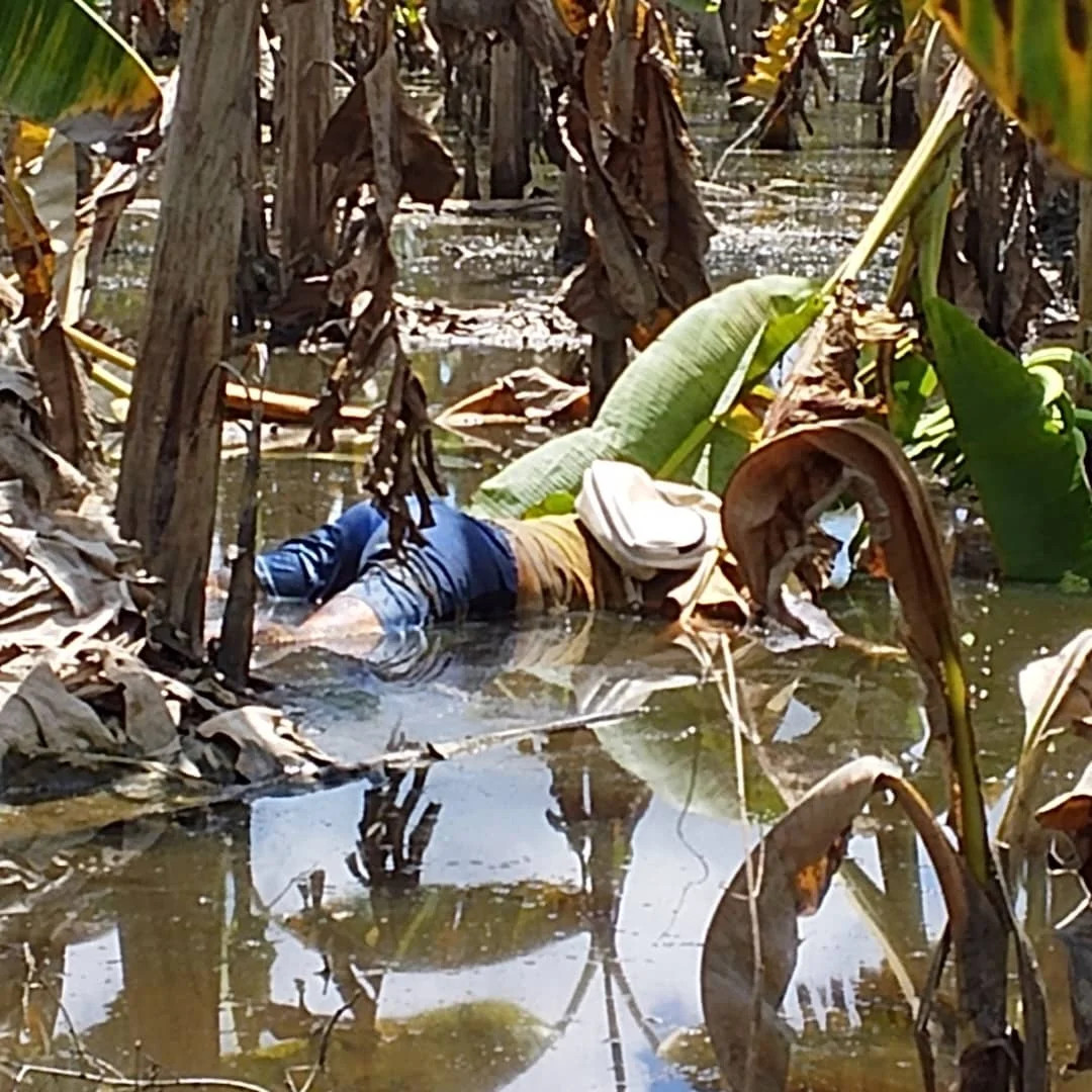 Diario Frontera, Frontera Digital,  Sucesos, ,Hallan sin vida hombre a orillas del río Mucujepe en Francisco Javier Pulgar