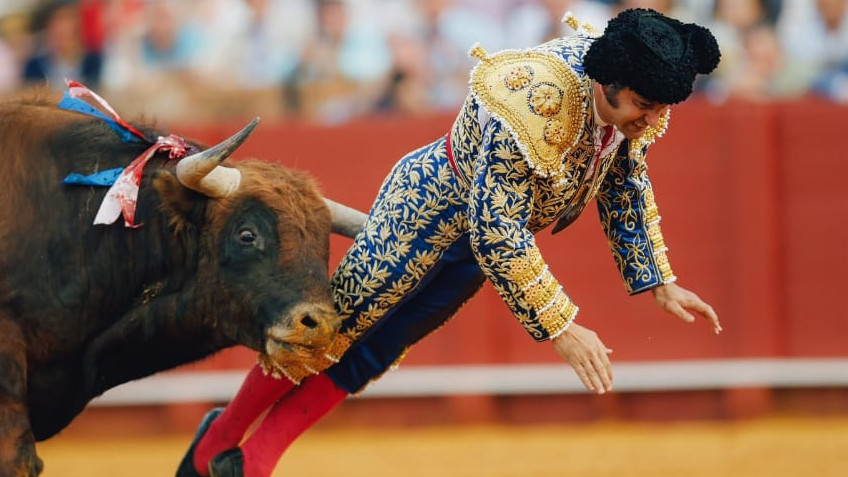 http://www.fronteradigital.com.ve/Morante paga con una cornada muy grave su ofrenda absoluta en Sevilla