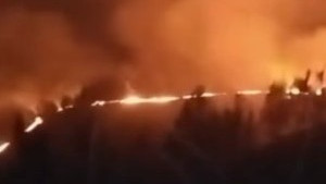 http://www.fronteradigital.com.ve/Incendio forestal afectó montañas del 
Páramo andino en el municipio MIranda