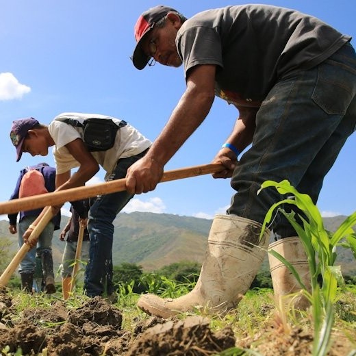 Diario Frontera, Frontera Digital,  Frente en Defensa de los Productores Agropecuarios, Nacionales, ,*Frente en Defensa de los Productores Agropecuarios: 
"El campo venezolano sufre la peor crisis de su historia"
