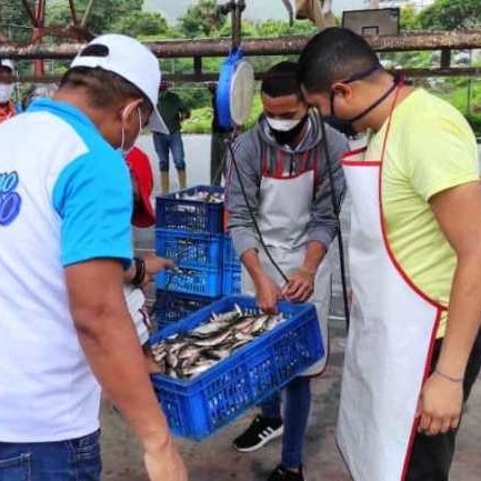 Diario Frontera, Frontera Digital,  SARDINAS EN EJIDO Y MÉRIDA, Regionales, ,10 toneladas de sardina
distribuyó Minpesca en Ejido y Mérida