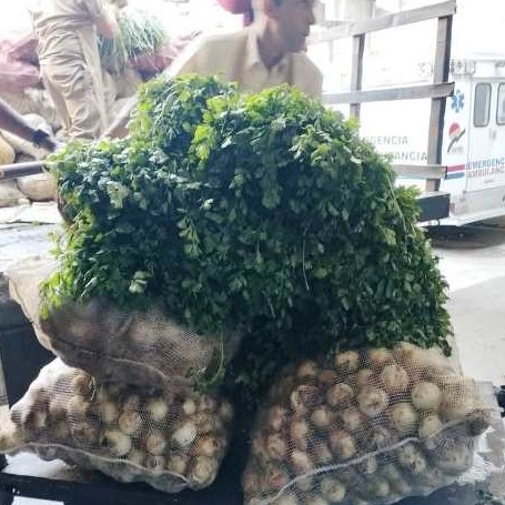 Diario Frontera, Frontera Digital,  IAHULA, Salud, ,Gobernación entregó más de 5 mil 500 kg de hortalizas y verduras para el Iahula