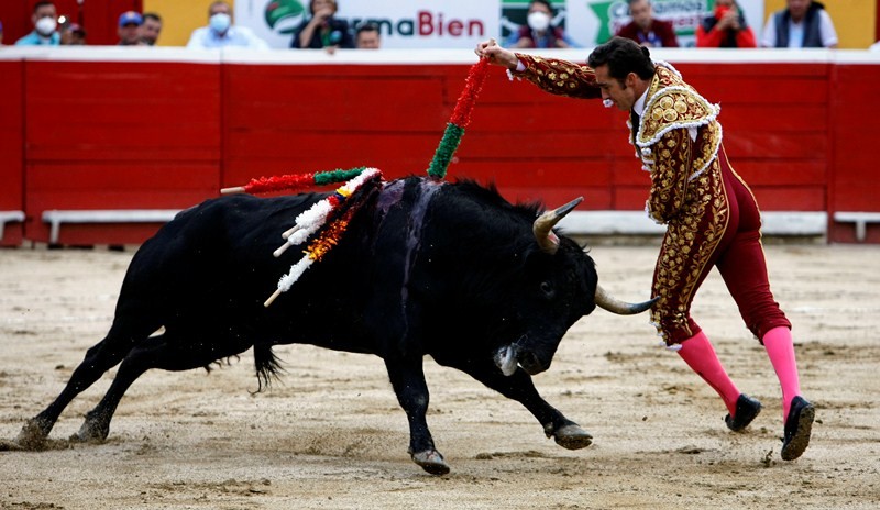 Diario Frontera, Frontera Digital,  EL FANDI, Entretenimiento, ,“El Fandi”, aquejado de una “hernia gigante lumbosacra 
que requiere cirugía de descompresión”