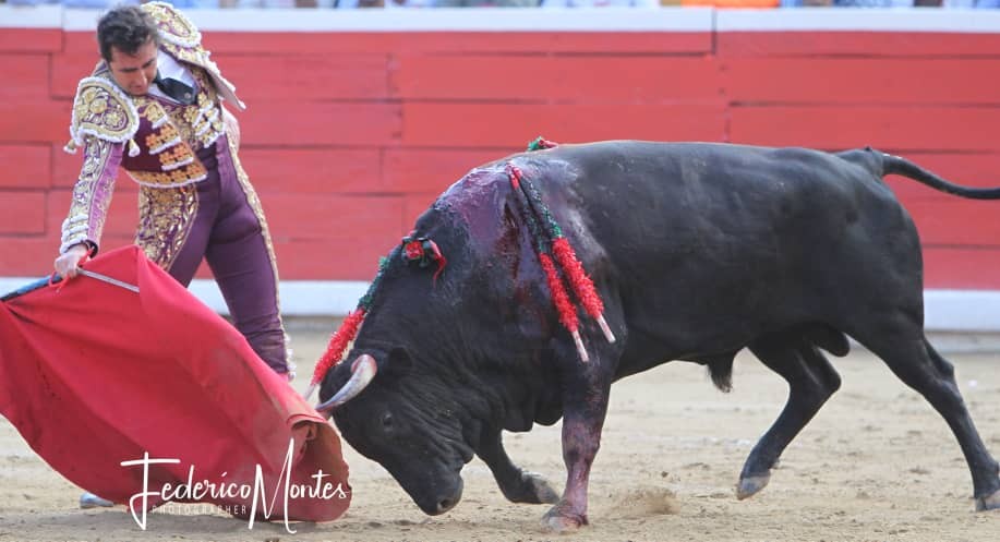 Diario Frontera, Frontera Digital,  El Fandi, David Fandila, México, Corridas de Toros, Mérida, San Cristóbal, Entretenimiento, ,“El Fandi” no podrá estar presente en la feria de Cali
