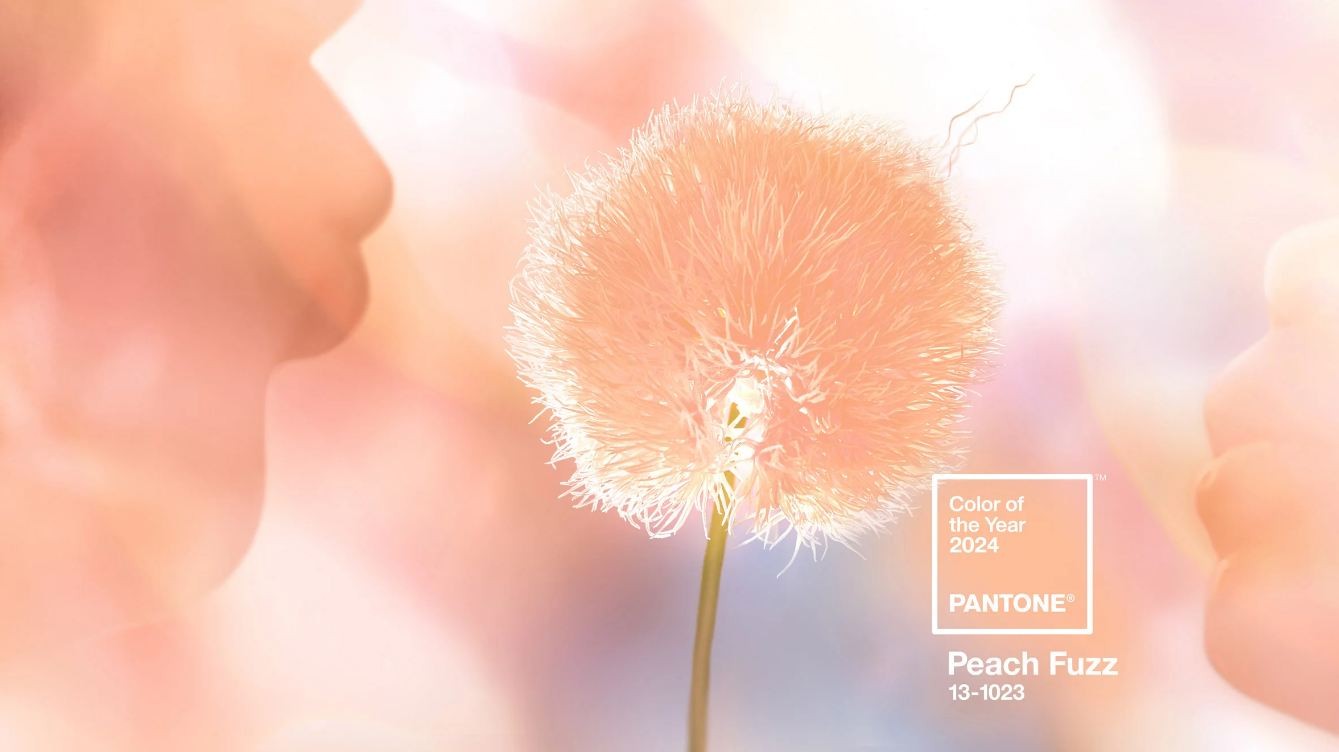 Diario Frontera, Frontera Digital,  Leatrice Eiseman, Color del año, Peach Fuzz, Pantone, Entretenimiento, ,Pantone dio a conocer el color que dominará en 2024