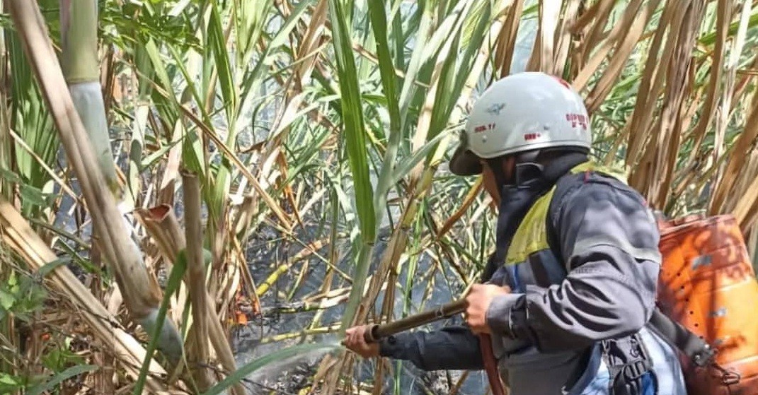 Diario Frontera, Frontera Digital,  BOMBEROS, Sucesos, ,BOMBEROS CONTROLARON INCENDIO
DE VEGETACIÓN EN TERRENO AGRÍCOLA EN EJIDO