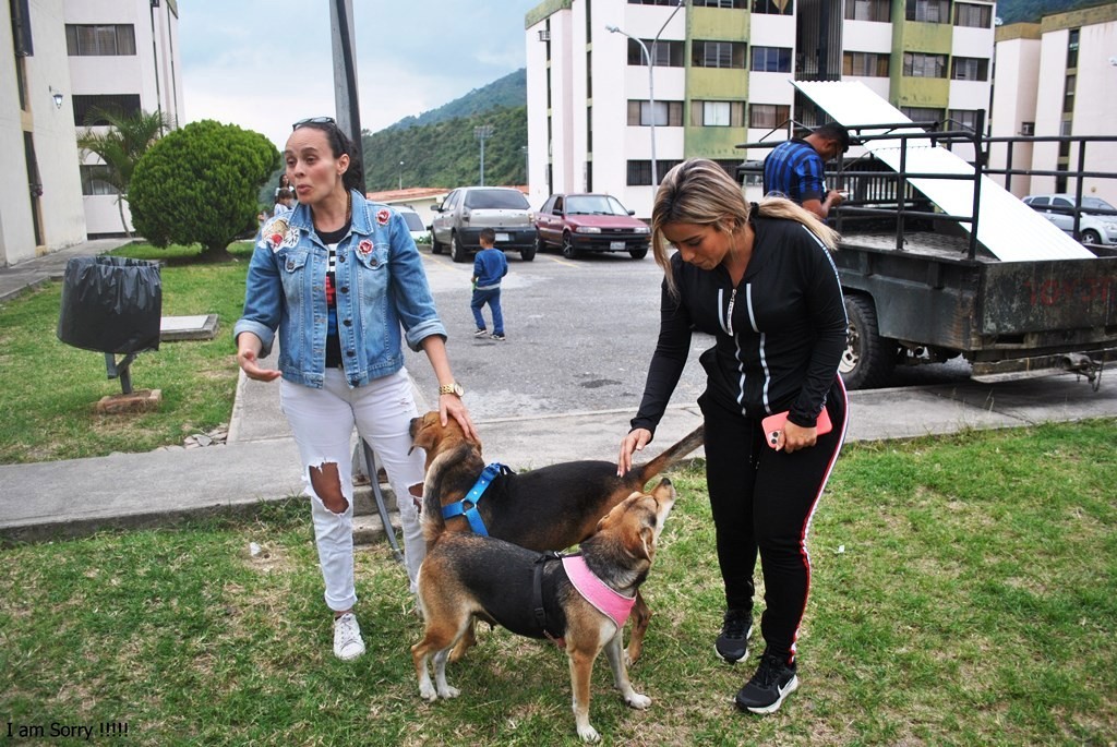 Diario Frontera, Frontera Digital,  Unión Protectora de Animales, TOVAR, Mocoties, ,Tovar sigue dando ejemplo en acciones 
y trabajo para la protección animal