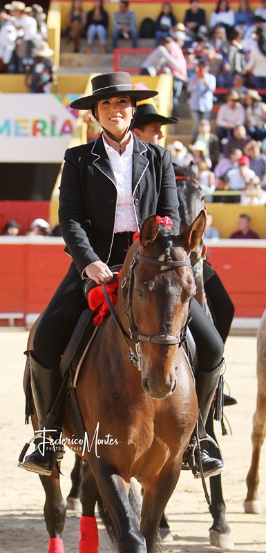 Diario Frontera, Frontera Digital,  María Paola Briceño, alguacililla, PLAZA DE TOROS ROMÁN EDUARDO SANDIA, Entretenimiento, ,María Paola Briceño, la alguacililla que pone autoridad 
en el callejón de la Plaza de Toros de Mérida