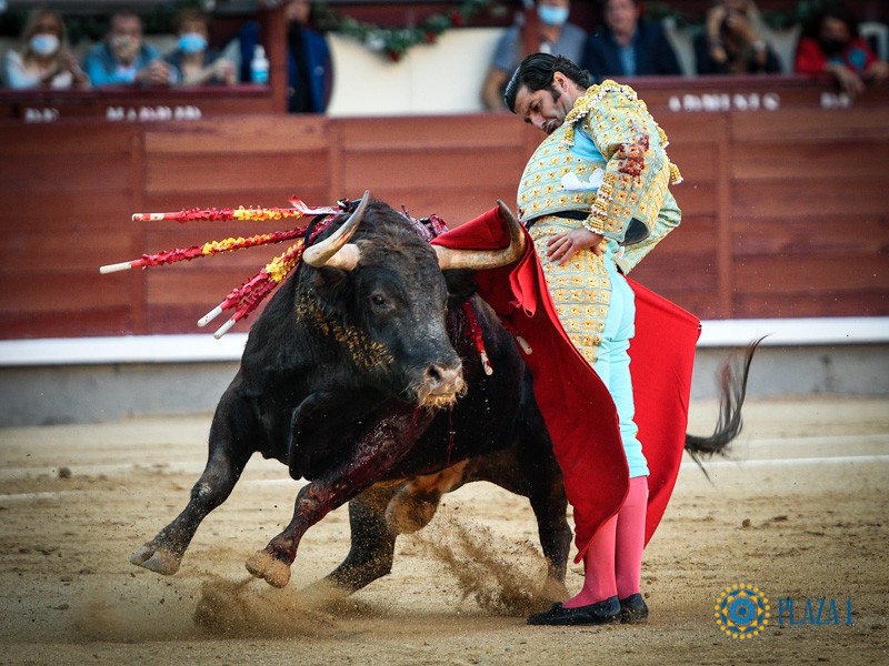 Diario Frontera, Frontera Digital,  Toreros del 23…, Entretenimiento, ,Toreros del 23…