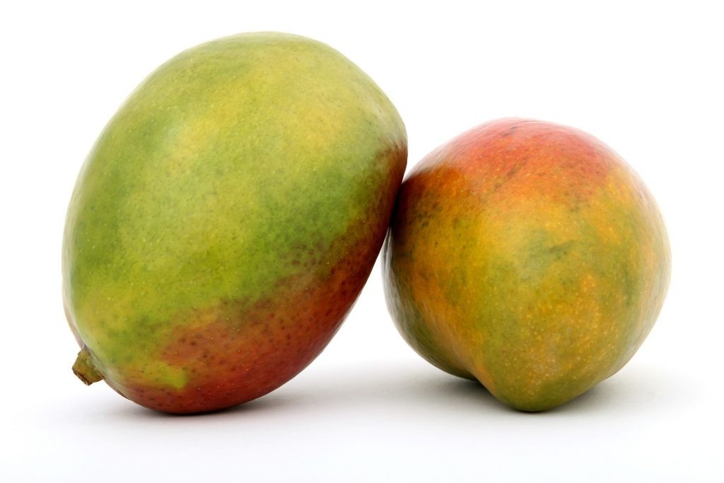 Diario Frontera, Frontera Digital,  hoja de mango, ANTIOXIDANTE, Salud, ,Extracción de antioxidantes a partir de la hoja de mango