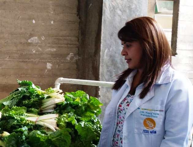 Diario Frontera, Frontera Digital,  ALIMENTACIÓN, PACIENTES IAHULA, Salud, ,Despacho de hortalizas fortalece 
alimentación del paciente en el Iahula