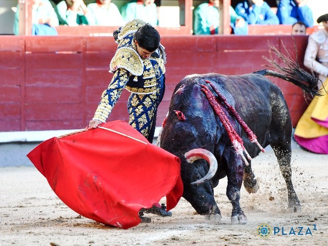 Diario Frontera, Frontera Digital,  FERIA DE SAN ISIDRO, TERCER FESTEJO, Entretenimiento, ,Una hermosa y buena corrida de Juan Pedro Domecq