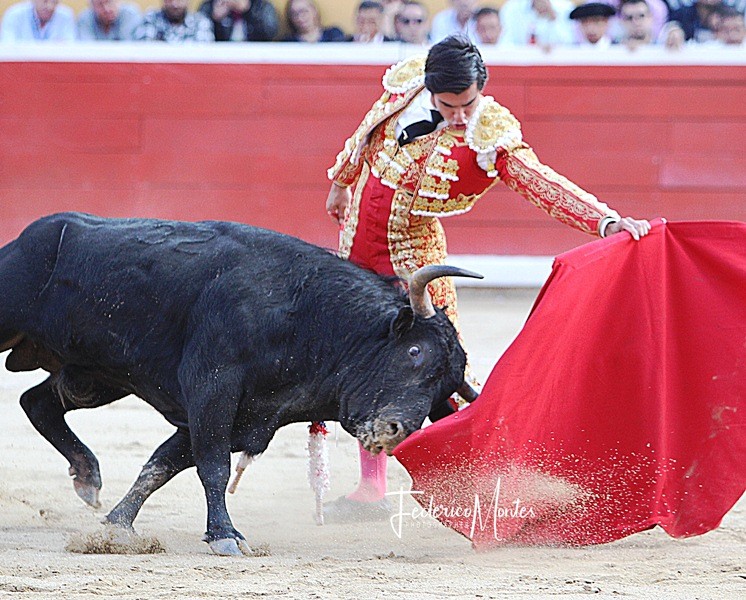 Diario Frontera, Frontera Digital,  TOROS EN LA GRITA, TÁCHIRA, Entretenimiento, ,La Grita comienza calentar su ambiente taurino ferial