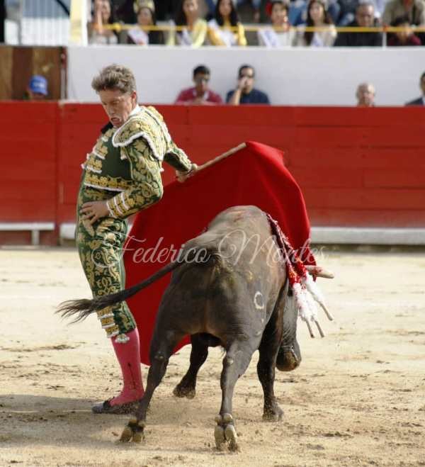 Diario Frontera, Frontera Digital,  FERIA DE SAN FERMÍN 2023, Entretenimiento, ,Dos toros notables de La Palmosilla en la apertura de la Feria del Toro