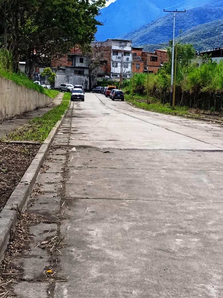 Diario Frontera, Frontera Digital,  IAHULA, ÁREAS VERDES, Salud, ,Avanzan trabajos de saneamiento de áreas verdes del Iahula
