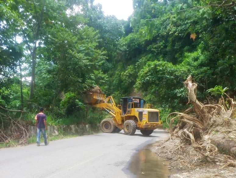 Diario Frontera, Frontera Digital,  TRASANDINA, MÉRIDA, BARINAS, LOCAL 001, Páramo, ,Gobierno Bolivariano realizó limpieza vial en la Trasandina