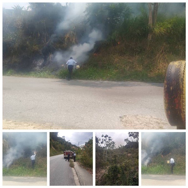 Diario Frontera, Frontera Digital,  INCENDIO FORESTAL, ROCA JULIA, EL VIGÍA, Sucesos, ,Cuerpo de Bomberos y Protección Civil sofocaron
incendio forestal en Roca Julia de El Vigía