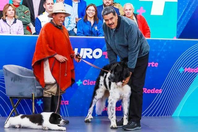 Diario Frontera, Frontera Digital,  PERRO NEVADO, MADURO MÁS, JEHYSON GUZMÁN, Páramo, ,Gobernador Jehyson Guzmán calificó 
al perro Nevado como símbolo de lealtad
