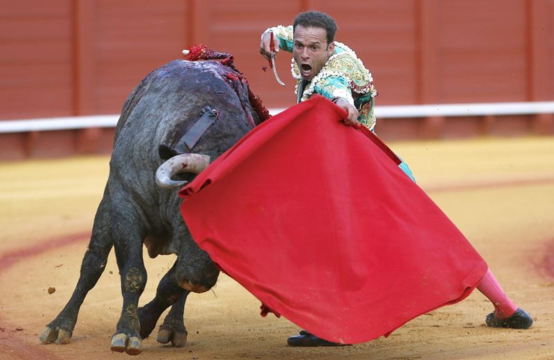 Diario Frontera, Frontera Digital,  FERIA DE TOVAR, Entretenimiento, ,La veteranía como elemento en común 
toreros extranjeros para la Feria de Tovar