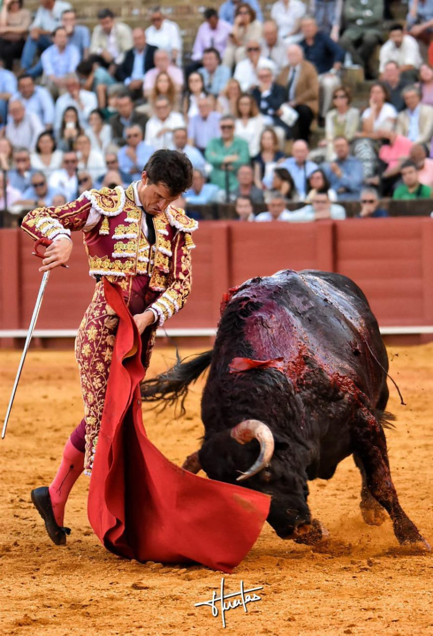 Diario Frontera, Frontera Digital,  Entretenimiento, ,ENTREVISTA │ Luque: “La cornada de El Puerto fue un exceso de confianza”