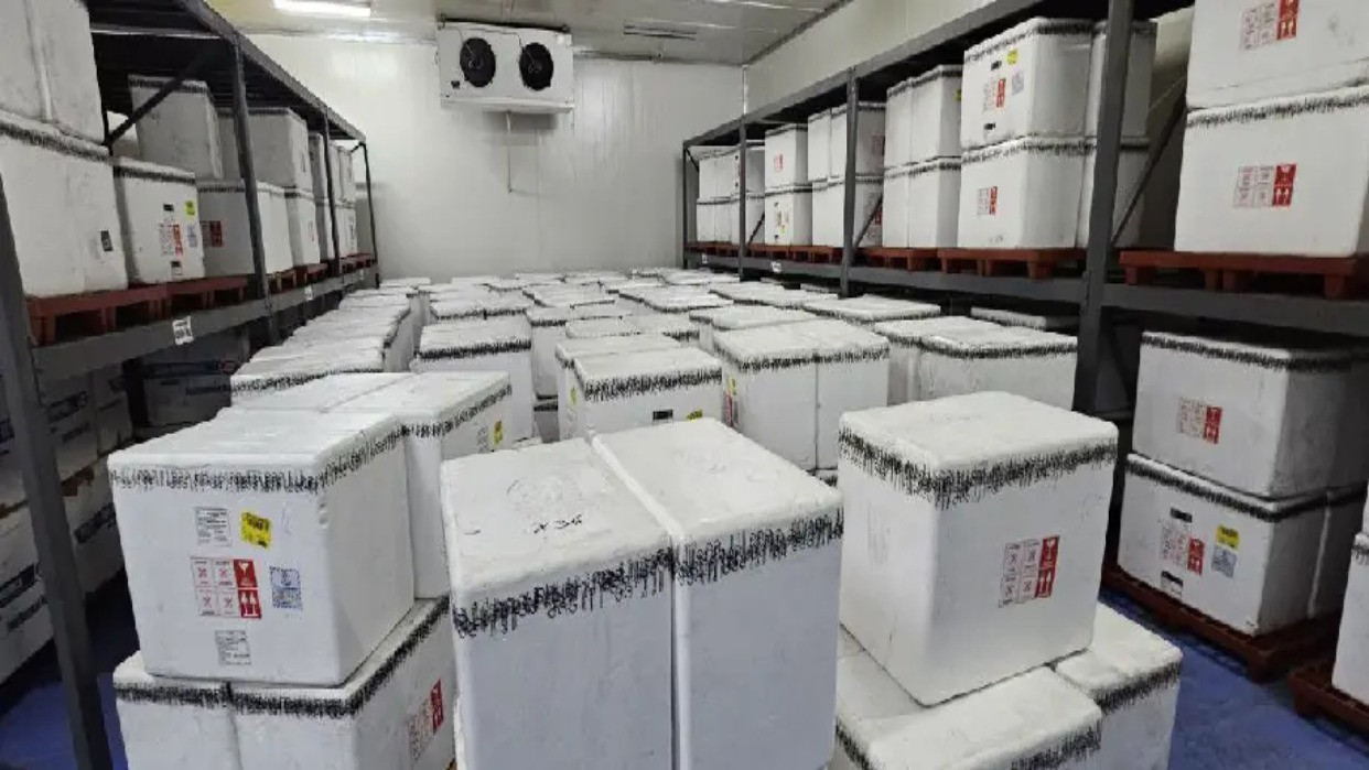 Diario Frontera, Frontera Digital,  Salud, ,Venezuela recibió más de un millón de vacunas contra la fiebre amarilla