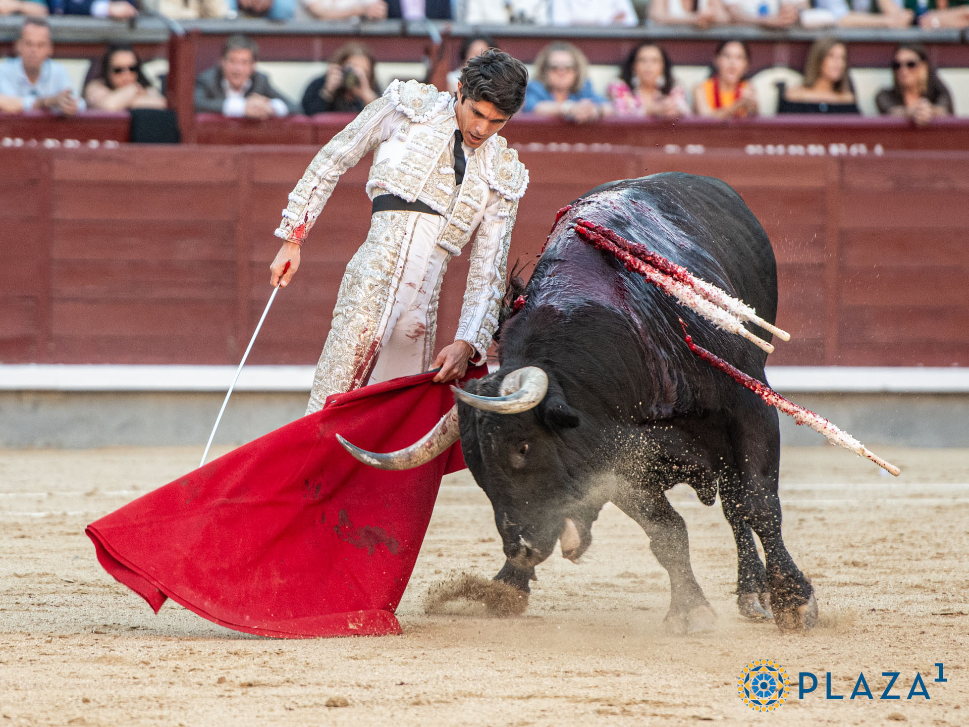 Diario Frontera, Frontera Digital,  Entretenimiento, ,Sebastián Castella otro figurón para la Feria del Sol, y van…