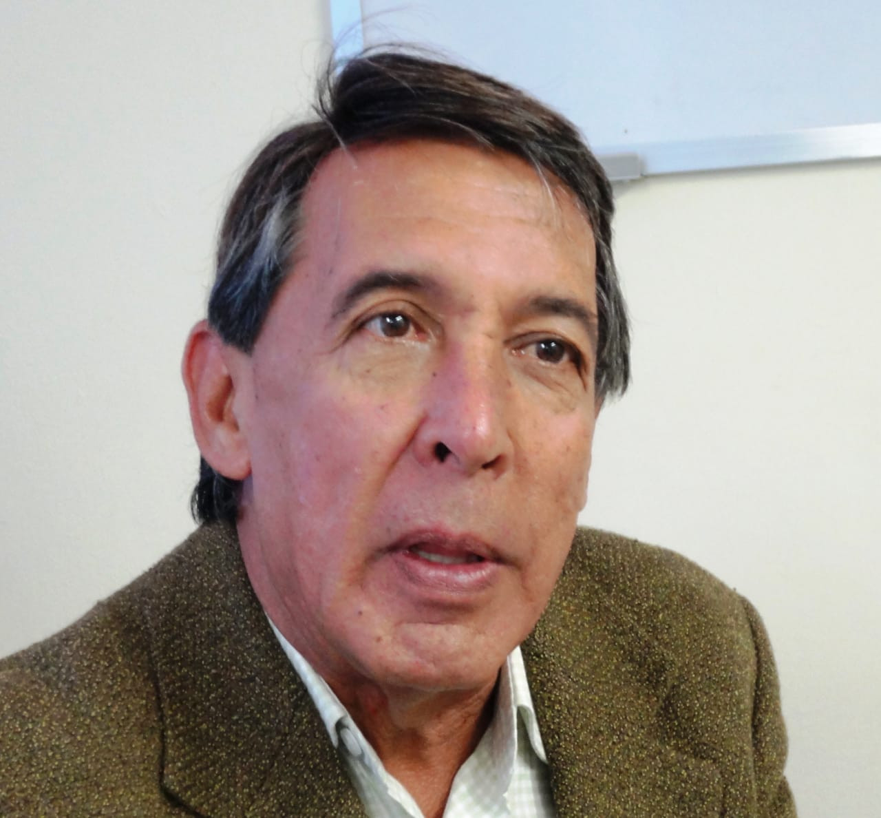 Diario Frontera, Frontera Digital,  Opinión, ,El dilema del avestruz  por Antonio José Monagas