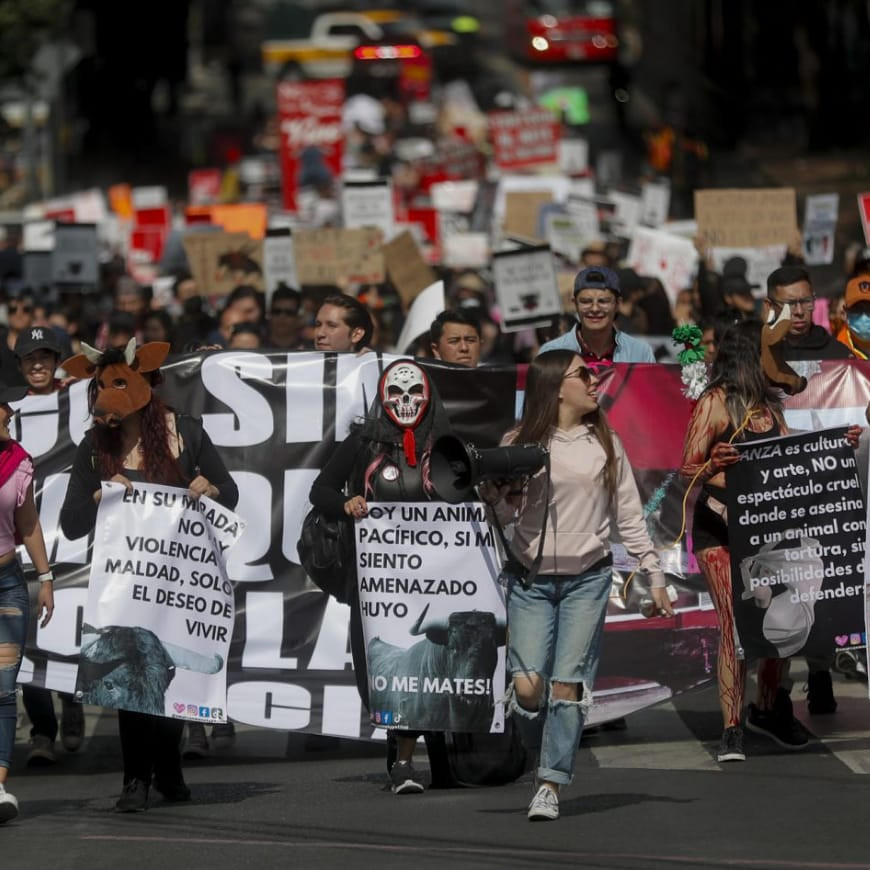 Diario Frontera, Frontera Digital,  Internacionales, ,Justicia suspende nuevamente corridas de toros en Ciudad de México
