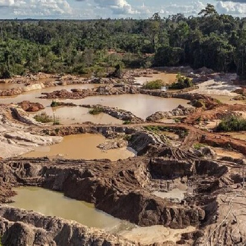 Diario Frontera, Frontera Digital,  Nacionales, ,FANB ha desalojado más de 500 mineros ilegales en Bolívar