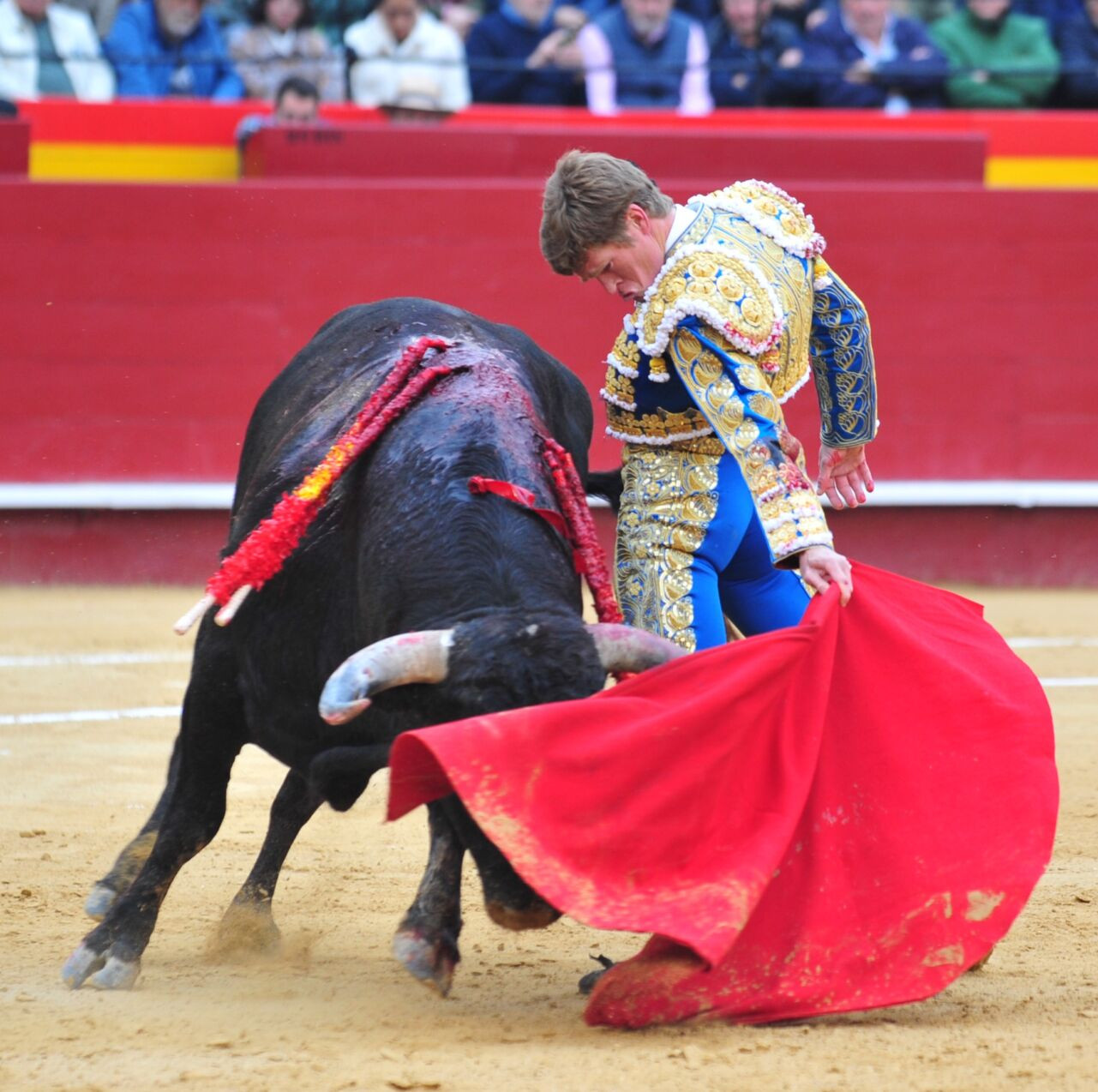Diario Frontera, Frontera Digital,  Entretenimiento, ,Un repaso de Borja Jiménez, el más preparado y listo de la clase en Valencia