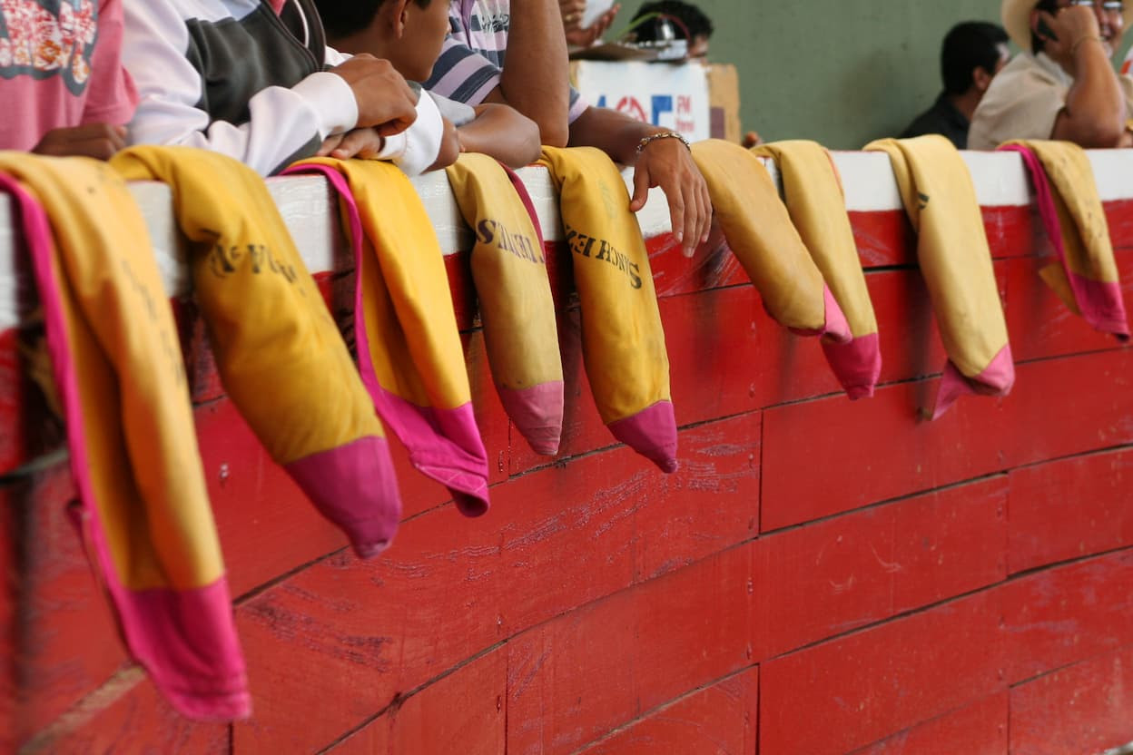 Diario Frontera, Frontera Digital,  Entretenimiento, ,Festival de la Tovareñidad, con cartel aún por confirmarse