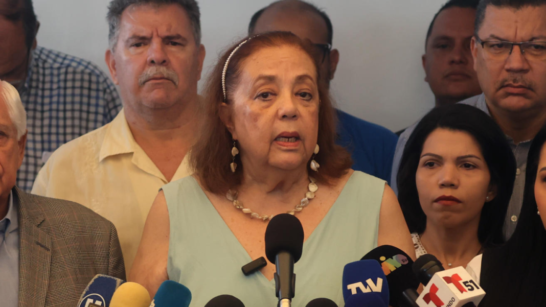 Diario Frontera, Frontera Digital,  Politica, ,Candidata Yoris: tarjetas de MUD y UNT no tienen acceso al sistema del CNE