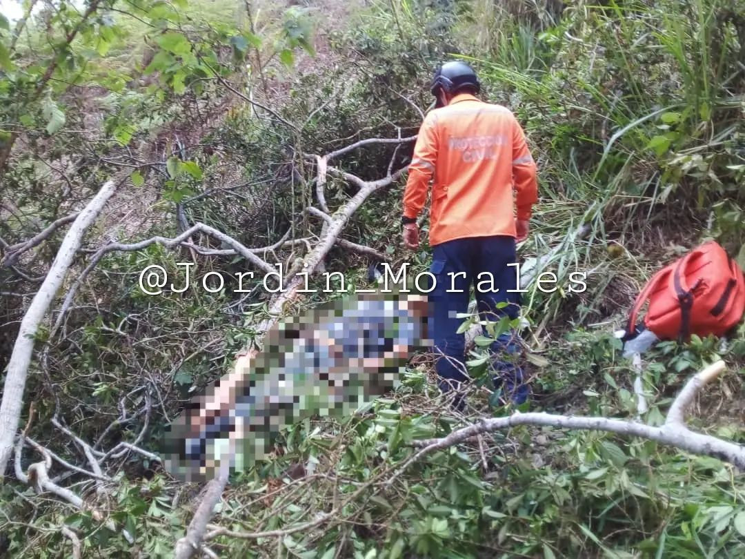 Diario Frontera, Frontera Digital,  Sucesos, ,Un hombre murió tras caerle encima un árbol que estaba talando en Zea