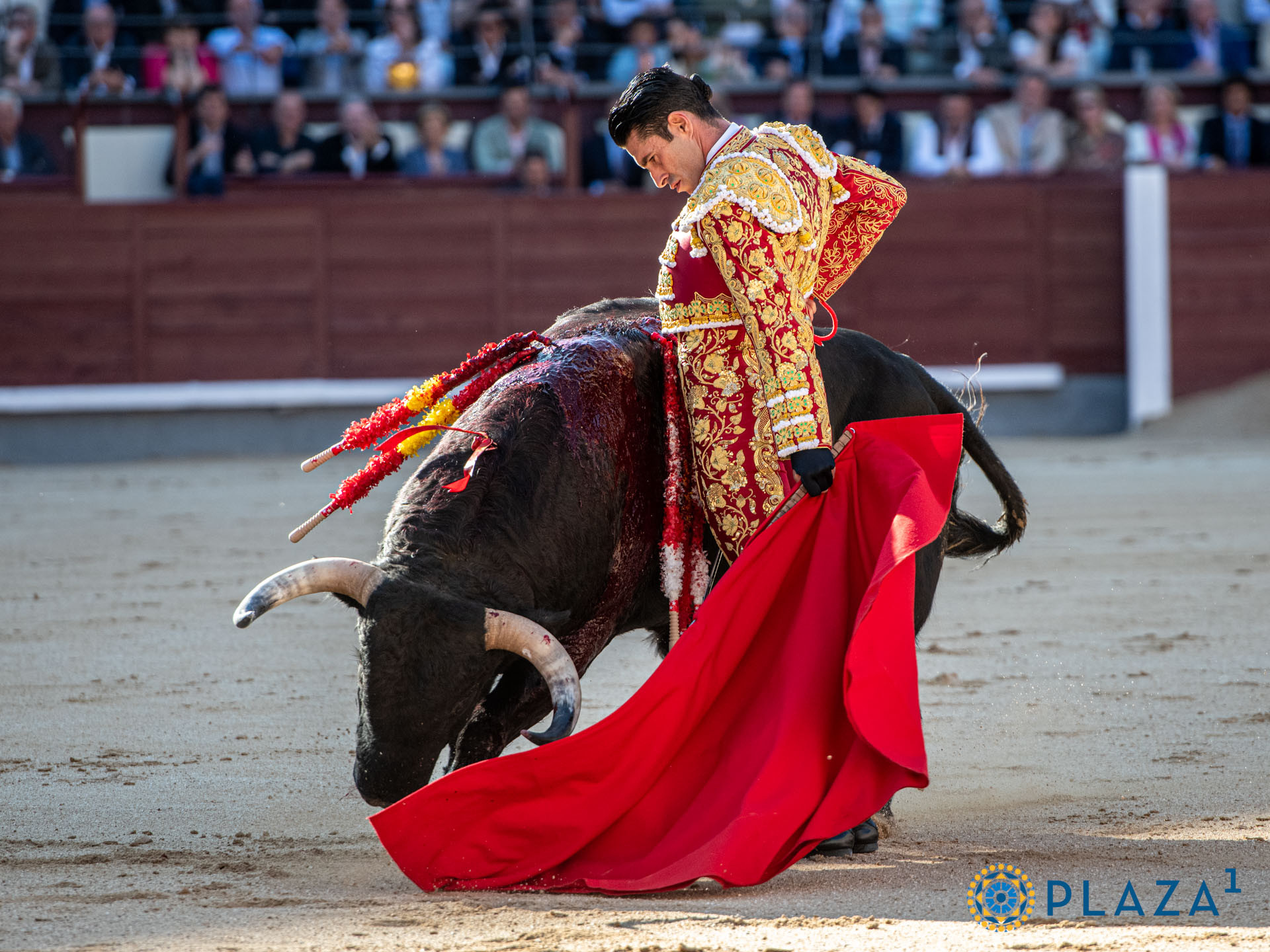 Diario Frontera, Frontera Digital,  Entretenimiento, ,El milagro de Talavante el verdadero y «Rebeco», un toro de casi 700 kilos, en Las Ventas