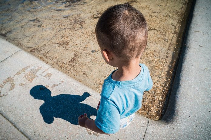 Diario Frontera, Frontera Digital,  Salud, ,La OMS confirma un caso de gripe aviar en un niño en la India